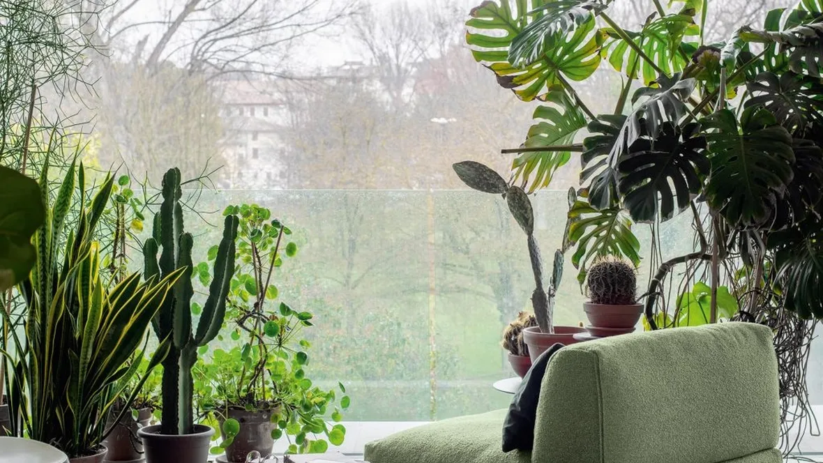 Poltrona in tessuto Forma di Kristalia